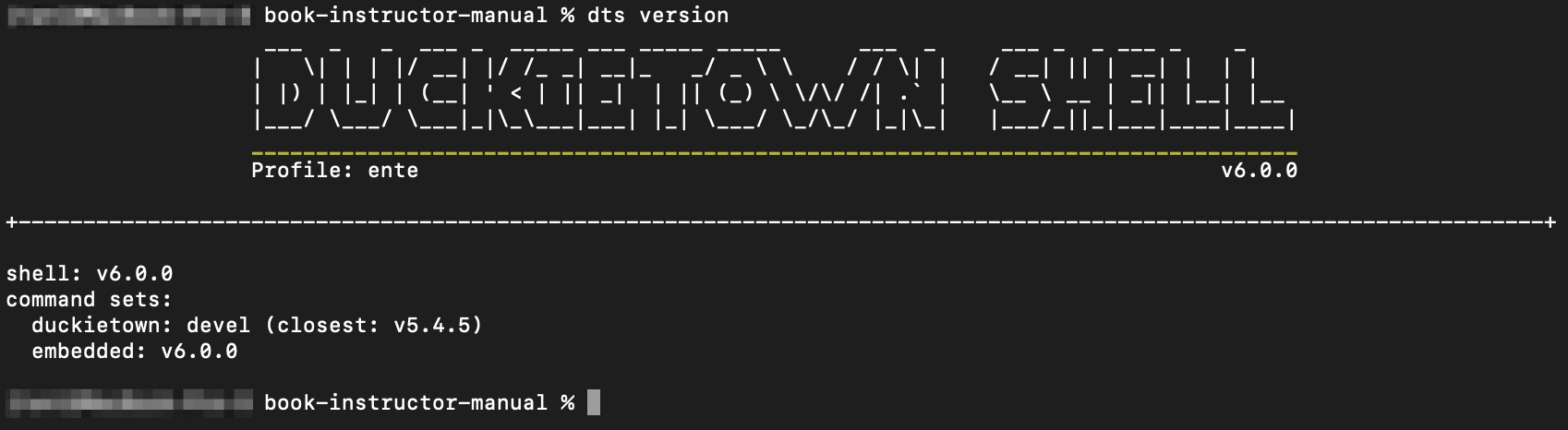Linux terminal usage is streamlined by the Duckietown Shell.